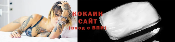 ECSTASY Белокуриха