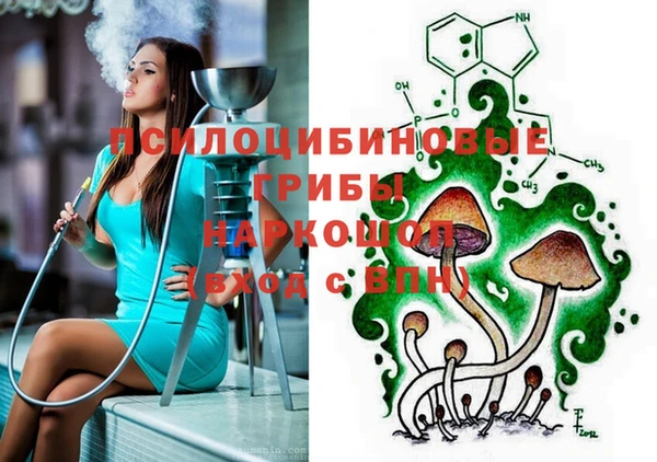 ECSTASY Белокуриха