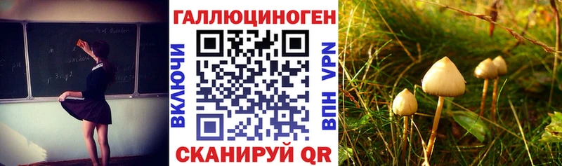 Галлюциногенные грибы Psilocybine cubensis  Белоусово 